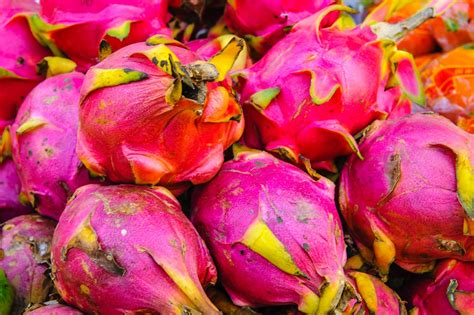 Nord Exotic - Pink Dragon Fruit: Varieties and Characteristics