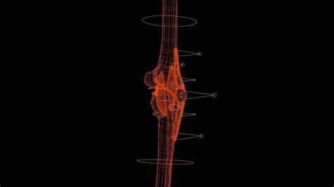3D model Knee anatomy template VR / AR / low-poly | CGTrader