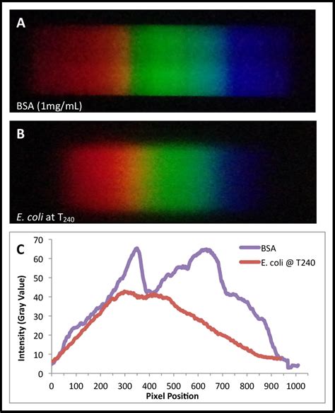 Image result for How to Do Microbial Growth Curves Using Spectrophotometer