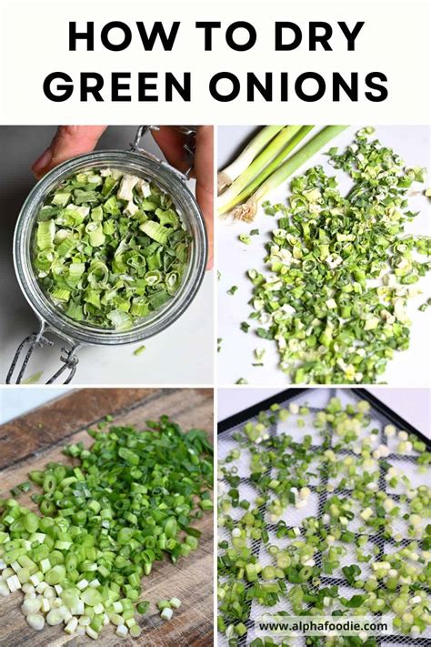 How To Crisp Up Green Onions at Wilfred Mccarty blog