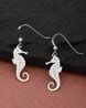 Buy Silver Earrings for Women by Vanbelle Online | Ajio.com