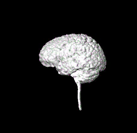 Image result for TIF Example