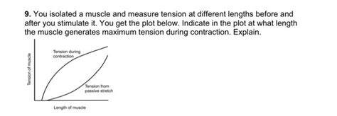 Image result for Muscle Tension Duration Graph