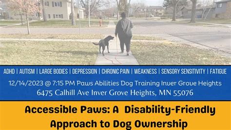 Accessible Paws: A Disability-Friendly Approach to Dog Ownership, Paws ...