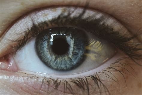Macro / eye photo / close photography / blue eyes / grey eyes / iris ...