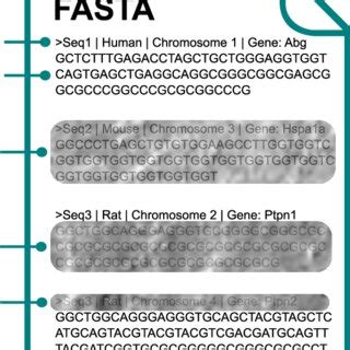 Fasta File 的图像结果