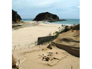 Image result for 広田遺跡