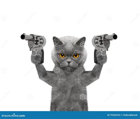 Funny Cats With Guns