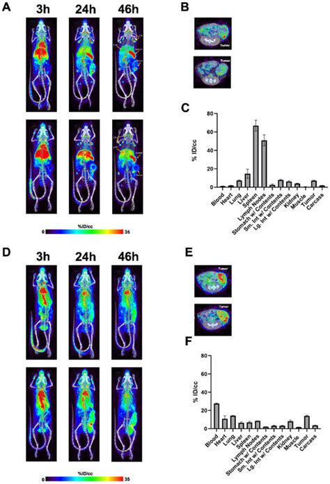 Development and Potent Anti-Tumor Activity of a Fully Humanized Anti ...