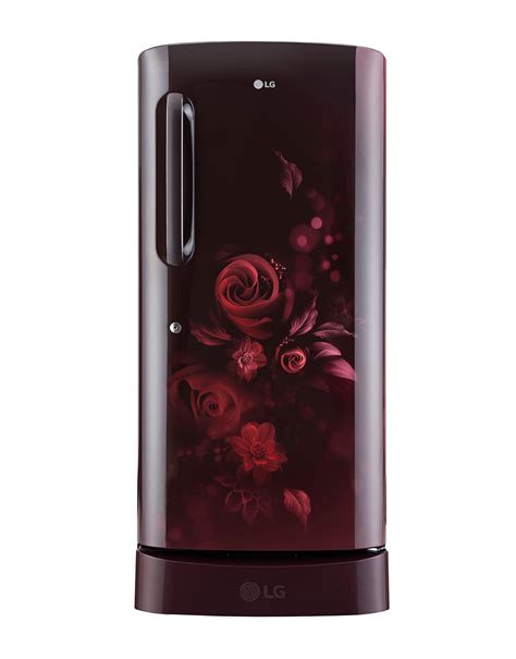185 L 5 Star Single Door Refrigerator - GL-D201ASEU | LG IN