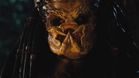 Predator Design 的图像结果