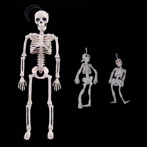 40/14/9.5Cm Flexible Human Anatomical Anatomy Bone Skeleton Model ...