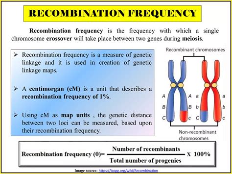 Gene Mapping Methods:Linkage Maps & Mapping with Molecular Markers | PDF