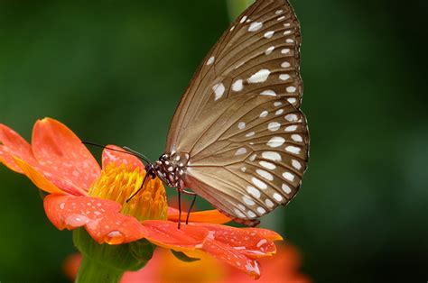Situated near Andaman Teal House, this museum exhibits several ...