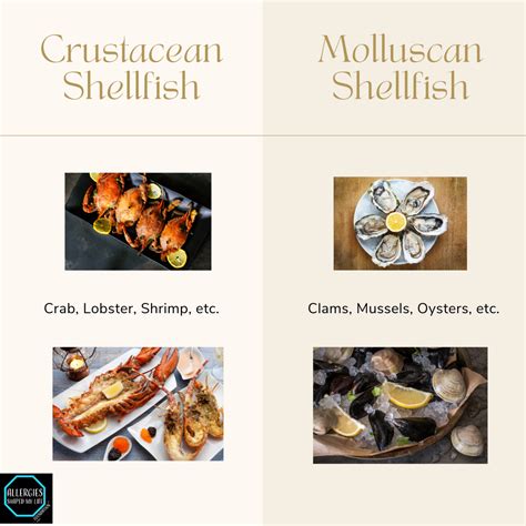 Lets talk about the types of Shellfish — Allergies Shaped My Life ...