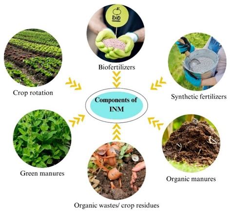 Integrated Nutrient Management of Fruits, Vegetables, and Crops through ...