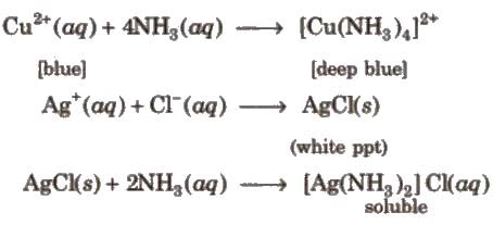 Group 15 Elements: Nitrogen Family - Chemistry Class 12 - NEET PDF Download