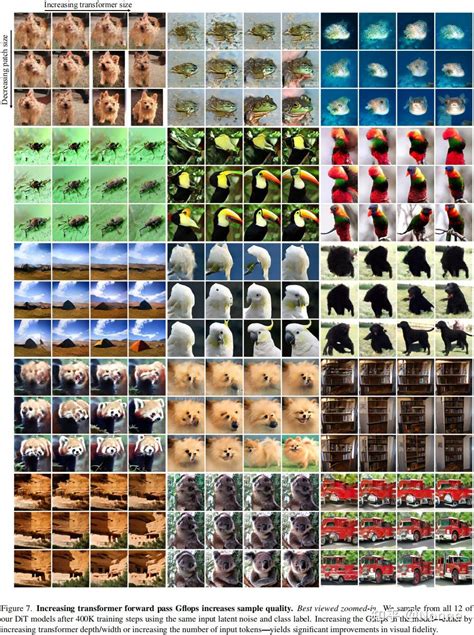 Diffusion Transformer 的图像结果