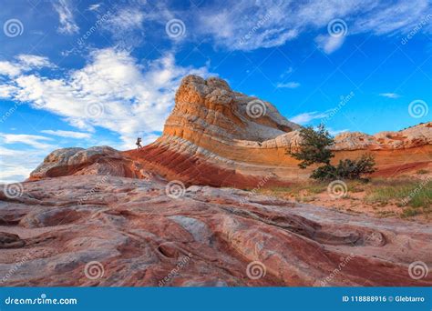 White Pocket, Vermilion Cliffs National Monument, Arizona, USA Stock ...