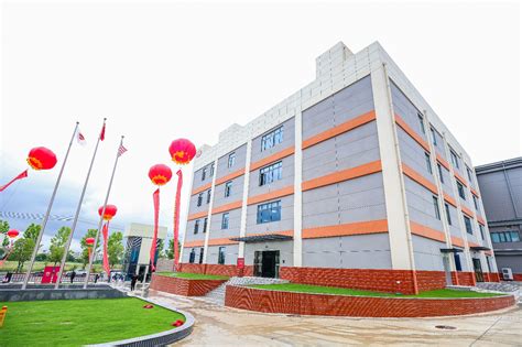 泰森孝感智慧工厂正式投产 首次在中国中部地区布局-泰森中国官方网站