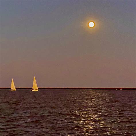 PASEOS EN VELERO - All You Need to Know BEFORE You Go 2026 (with Photos ...