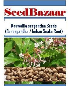 Seedbazaar Sarpagandha, Indian Snake Root, Rauvolfia serpentina ...