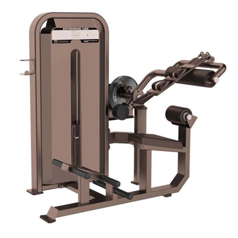 STA-5088 Abdominal & Back Extension