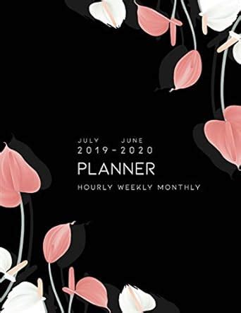 Buy Planner July 2019 - June 2020 Hourly Weekly Monthly: 8.5x11 ...