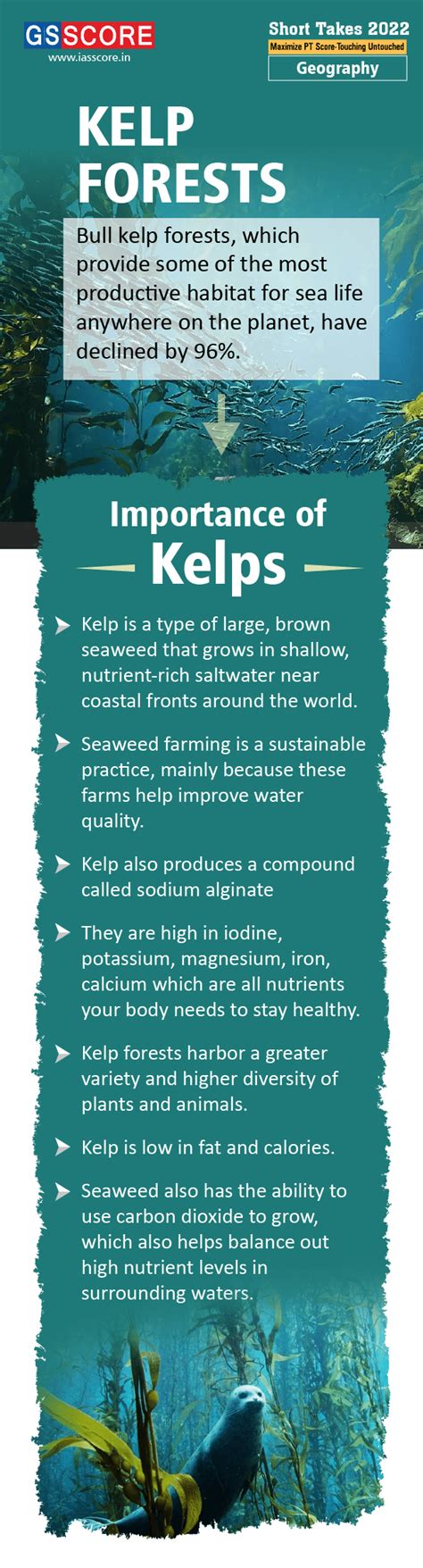 Kelp Forests - GS SCORE