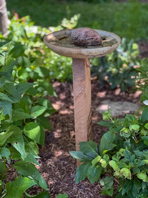 Bird Bath Modern Design Iconic Designs: Bird Baths ABC Listen