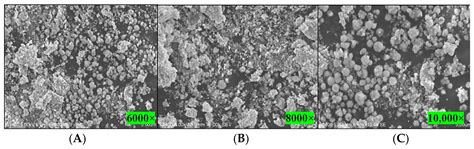 Green Synthesis of Silver Nanoparticles by Cytobacillus firmus Isolated ...
