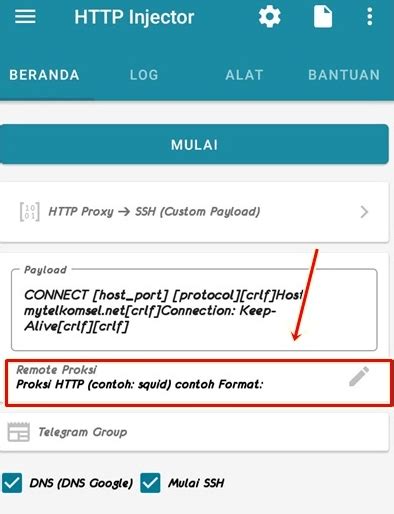 Image result for HTTP Injector PC Download