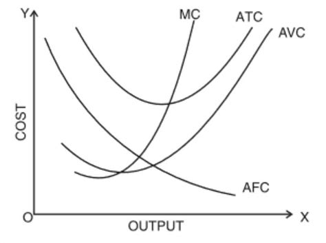 Explain the relationship between average cost , average variable cost ...