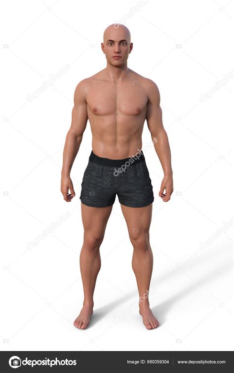 Illustration Male Body Mesomorph Body Type Characterized Muscular ...