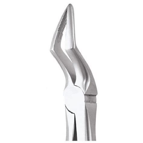 Waldent Tooth Extraction Forceps Upper Roots No.51A (1/106) – Waldent.com
