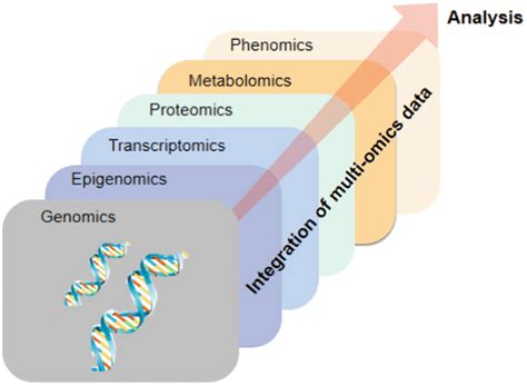 Omics Introduction 的图像结果