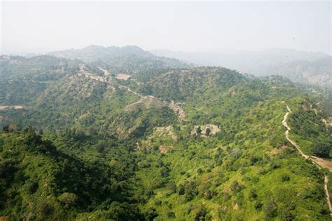 Image result for Nevada Library