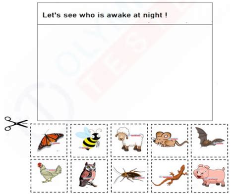 Nocturnal Animals - Free Kindergarten Worksheet | Olympiad tester