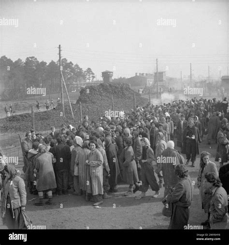 THE LIBERATION OF BERGEN-BELSEN CONCENTRATION CAMP, APRIL 1945 - Women ...