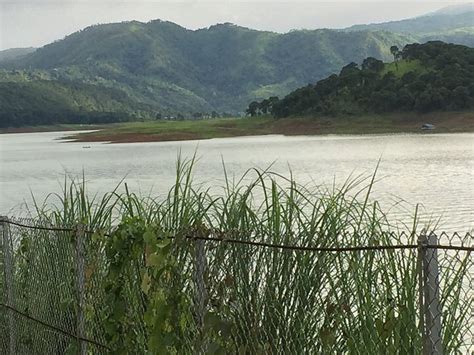Orchid Lake Resort Bar and Lounge: Pictures & Reviews - Tripadvisor