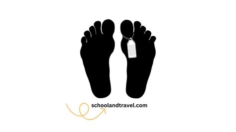 15+ Top Jobs That Require Suits (Benefits, Reasons, Tips, FAQs)