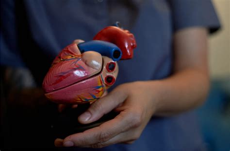 Life Expectancy After Cardiac Ablation