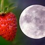 Image result for 2023 full strawberry moon