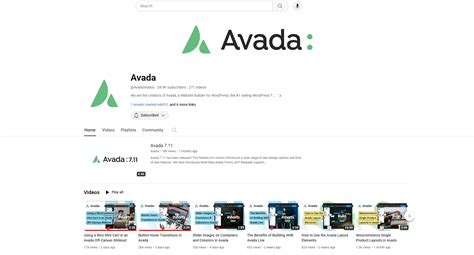 Image result for Avada Tutorial