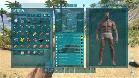 Image result for Ark NPC Admin Command