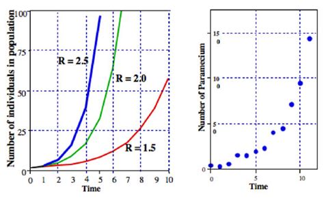 Image result for Examples of Exponential Growth Functions