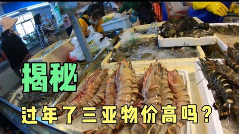（三亚旅行第7集）过年了三亚的海鲜市场价格怎么样，三亚的物价真的很高吗？揭秘 - YouTube