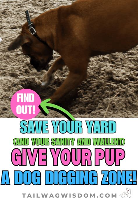 Image result for Programmer Digging a Pit