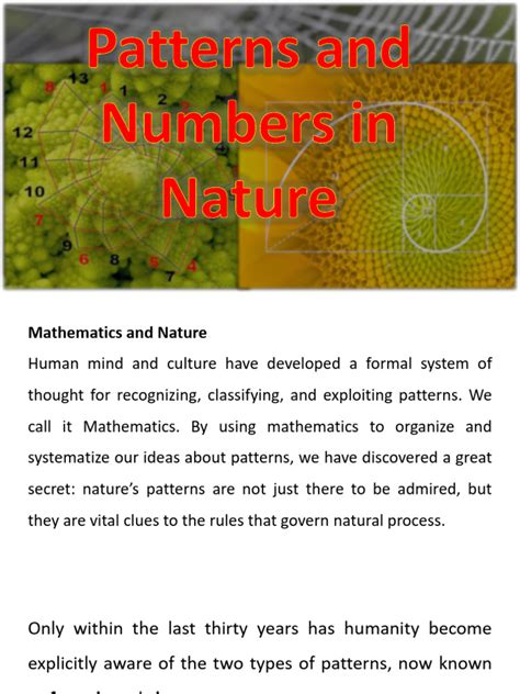 Image result for Math Nature Pattern