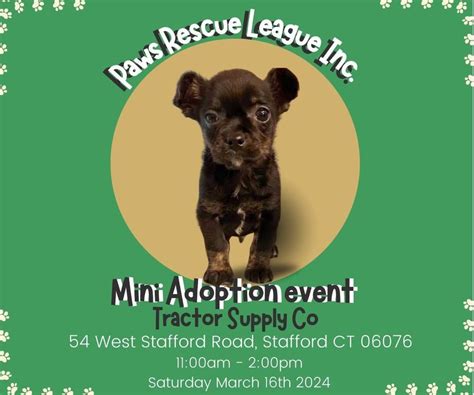 PRL Mini Adoption Event!, Tractor Supply Co. (Stafford Springs, CT), 16 ...